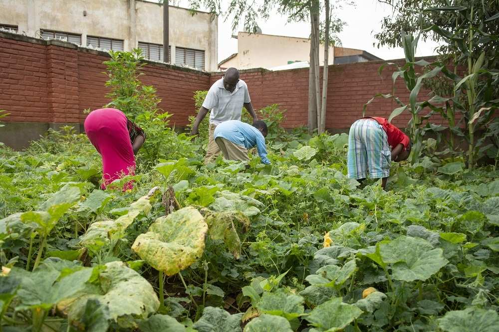 Those who stay in the Tikondane project must also learn to take on tasks in the garden