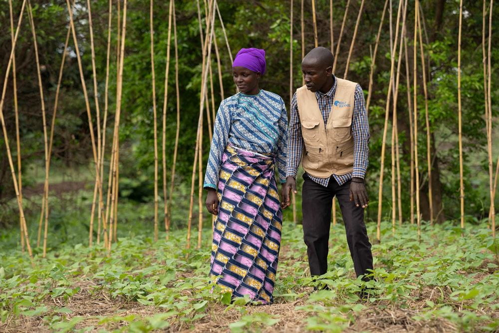 Agricultural consulting in Burundi for sustainable cultivation (Source: Christian Nusch)